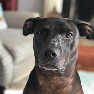 Meet your Posher, Kylee